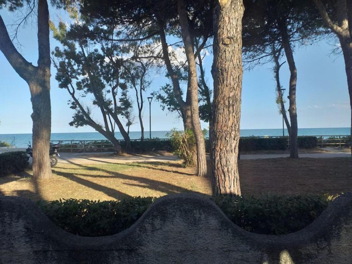 פינטו Room In Bb - Spacious Double Room Beside The Sea מראה חיצוני תמונה